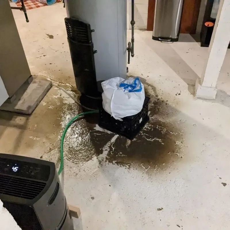 Sewage Backup Cleanup Service in High Point, NC